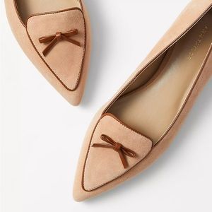 NWT Ann Taylor Pointy Toe Bow Loafer Flats Chai Latte Suede Tan